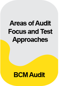 IC_Morepost_Areas of Audit Focus and Test Approaches