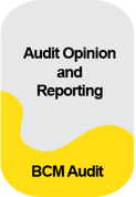 IC_Morepost_Audit Opinion and Reporting