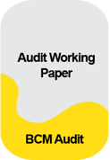 IC_Morepost_Audit Working Paper