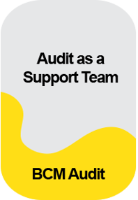 IC_Morepost_Audit as a Support Team