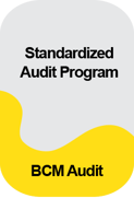 IC_Morepost_Standardized Audit Program