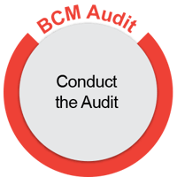 IC_Morepost_Conduct the Audit