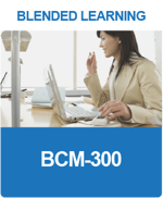 BL_BCM-300_5