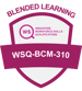 IC_BL-WSQ-310