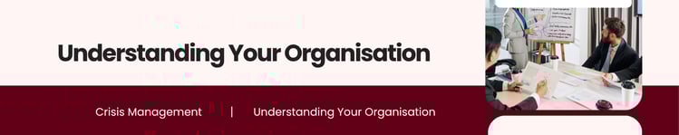 CM E1 C2 Understanding Your Organisation