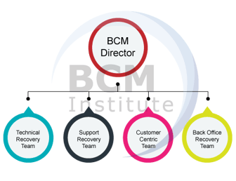 BCM-CS BCM Recovery Structure for MAMPU