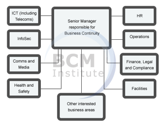 BCM-CS Components of a BCM Steering Committee