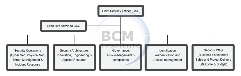 BCM-CS Cyber Security Organizational Structure