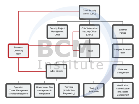 BCM-CS Cyber Security Team Structure