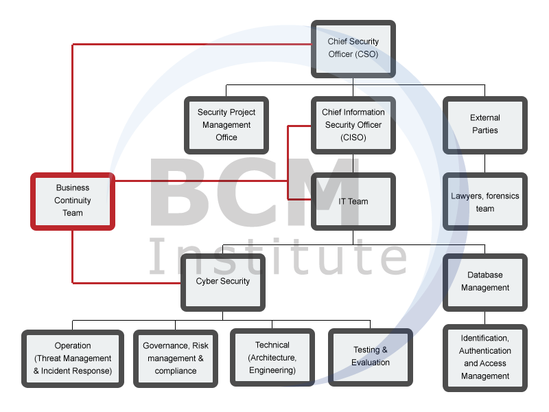 BCM-CS Cyber Security Team Structure