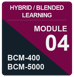 IC_HL-B-5_Module 4