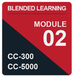 IC_BL-CC-5_Module 2