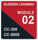 IC_BL-CC-5_Module 2