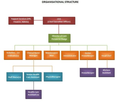 Understanding Your Organisation: Nursing Homes