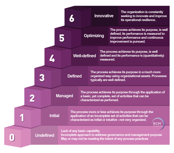 Operational Resilience Capability-level Model for Processes