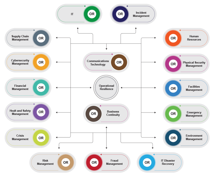 Diag_OR Organisation Chart