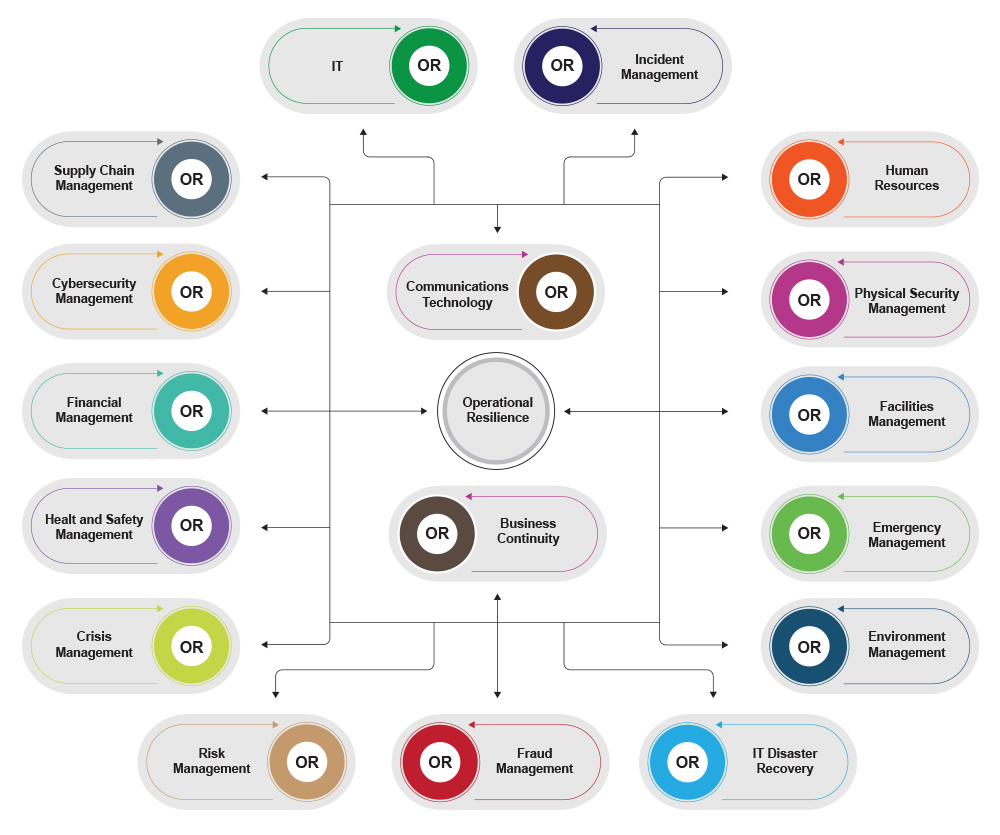 Diag_OR Organisation Chart