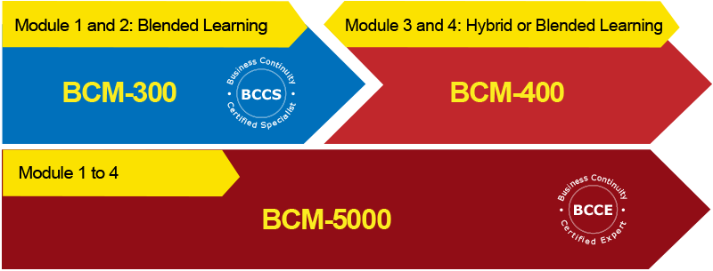 Exploring Your BCM Course Options: Levels and Pricing Exploring Your BCM Course Options: Levels and Pricing
