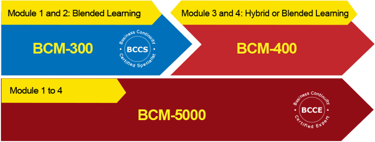 2Phase BL-HL-BCM-5 BCM-5000