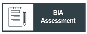 IC_BIA Assessment
