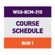 WSQ-BCM-310_CTA Run 1