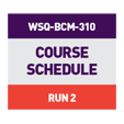 WSQ-BCM-310_CTA Run 2