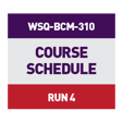 WSQ-BCM-310_CTA Run 4