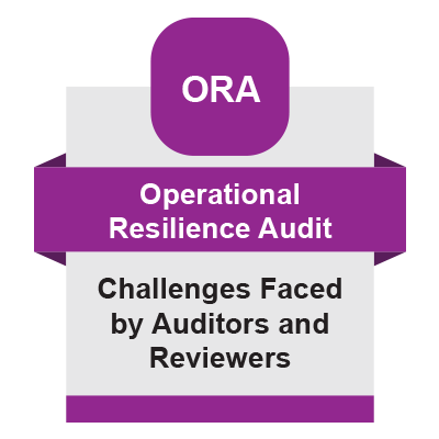 [ORA] Challenges Faced by Auditor and Reviewer