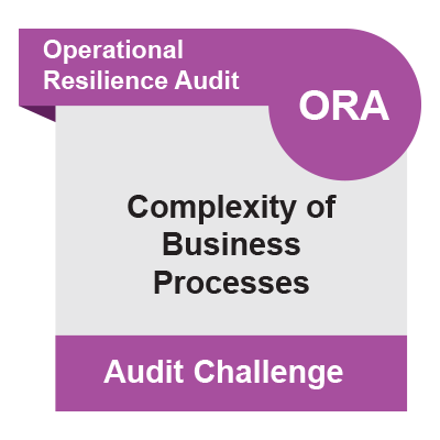 ORA Challenges Faced: Complexity of Business Processes