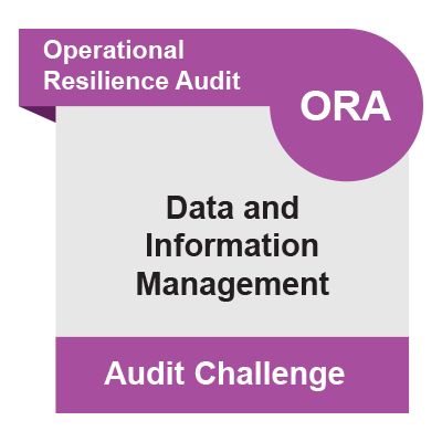 ORA Challenges Faced: Data and Information Management