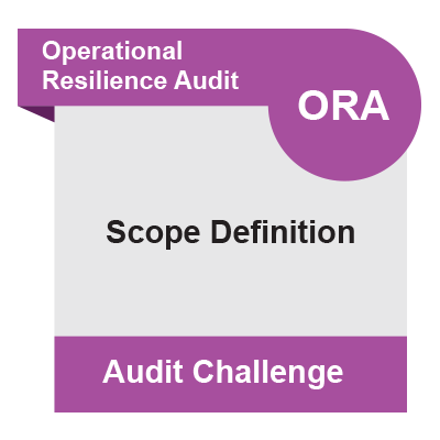 ORA Challenges Faced: Scope Definition