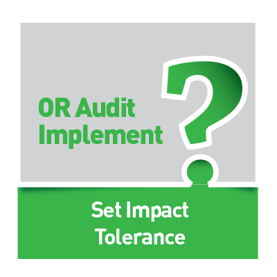 ORA Implement Phase Questionnaires: Set Impact Tolerance