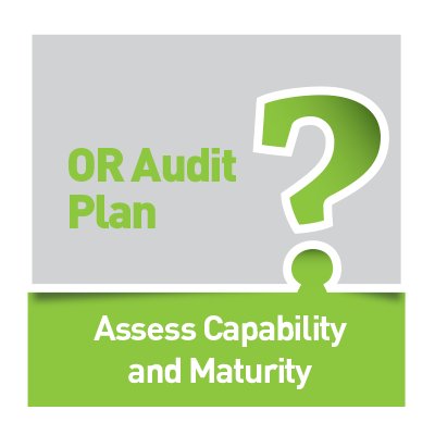 ORA [Plan] Questionnaires: Assess the Capability and Maturity