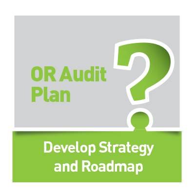 ORA [Plan] Questionnaires: Develop Strategy Roadmap