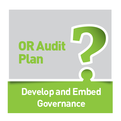 ORA [Plan] Questionnaires: Develop and Embed Governance